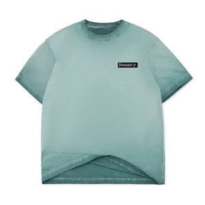 Color Bars x Dinosaur Jr Weirdness Tee - Jasper Oil Wash - -