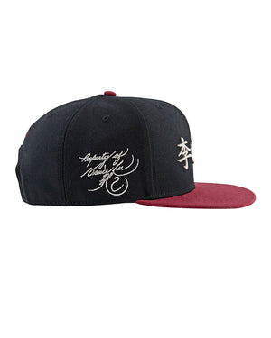 DGK x Bruce Lee Balance Hat - Black - HEH-1271-OS - 67762167