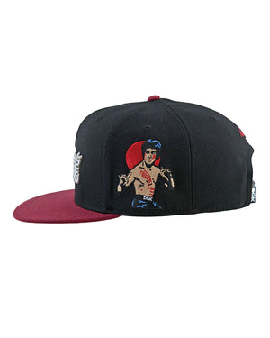 DGK x Bruce Lee Balance Hat - Black - HEH-1271-OS - 67762167