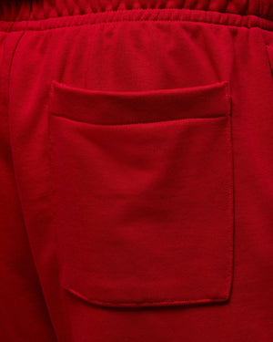 Jordan Brooklyn Fleece Shorts - Gym Red / White - -
