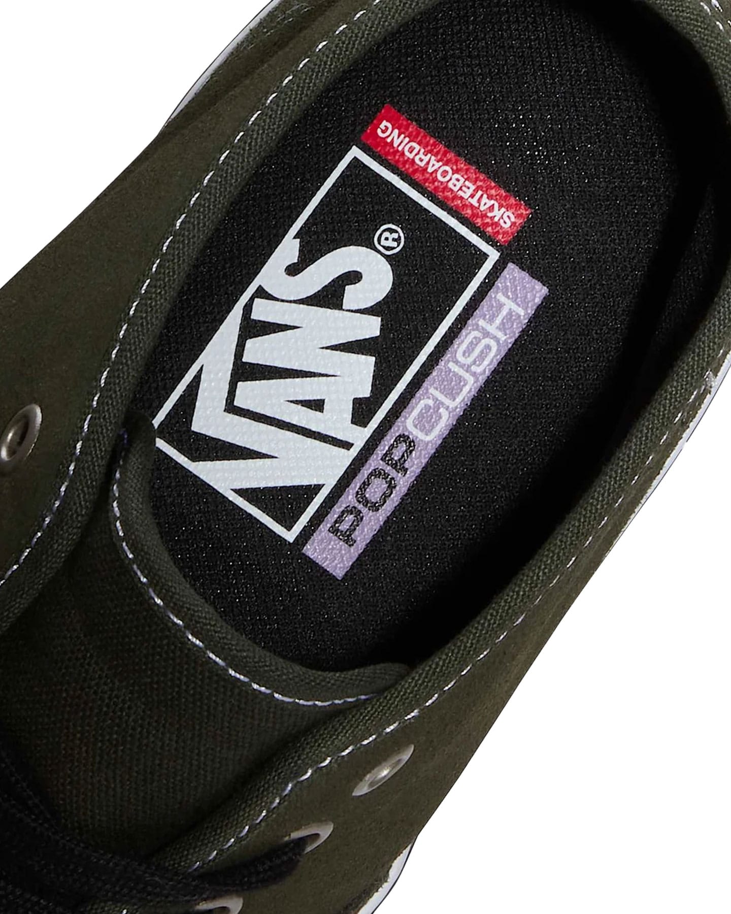 Skate Authentic Mid - Obsidian Fern - -