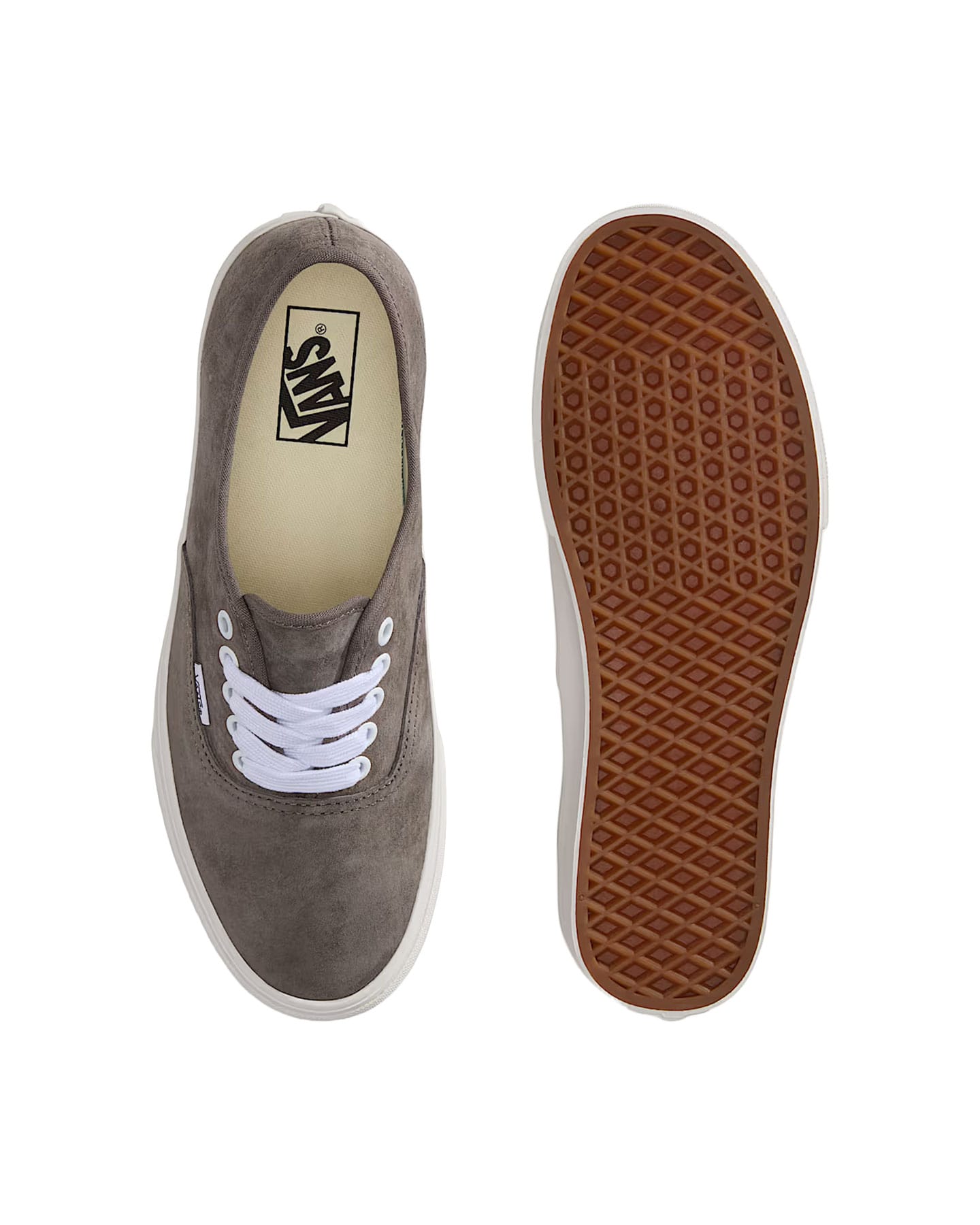 Vans Authentic - Pig Suede / Bungee Cord - -